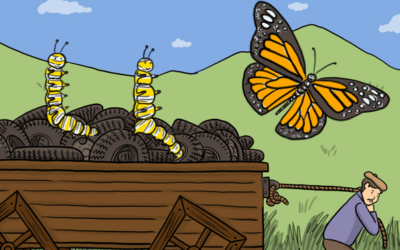 Leading Change – Teaching The Caterpillar to Fly
