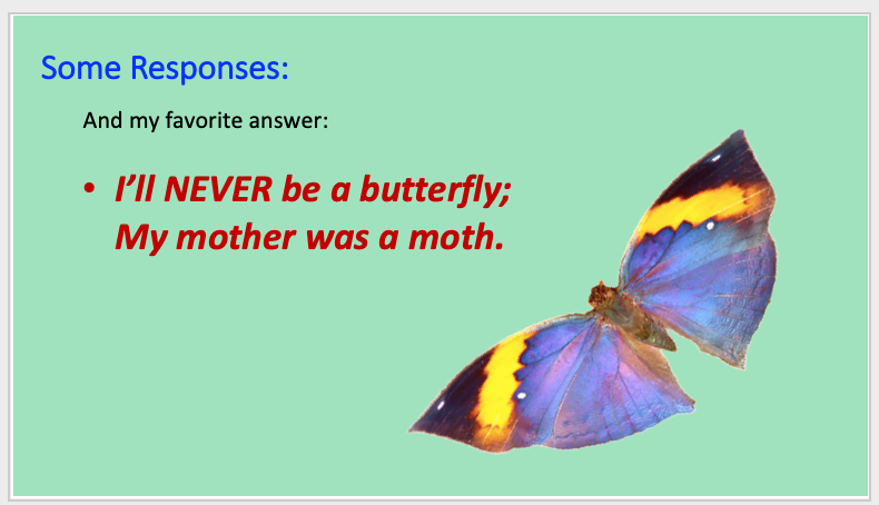 The "Moth" answer to the caterpillars butterfly joke about change